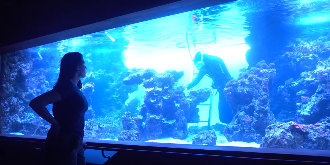 Cuando la ciencia tiene nombre de mujer: los BIOPARC reivindican a científicas que abrieron camino y transformaron la conservación del planeta