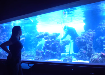 Cuando la ciencia tiene nombre de mujer: los BIOPARC reivindican a científicas que abrieron camino y transformaron la conservación del planeta