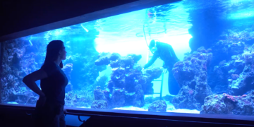 Cuando la ciencia tiene nombre de mujer: los BIOPARC reivindican a científicas que abrieron camino y transformaron la conservación del planeta