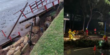 Primeros estragos del temporal en Mijas: Senda Litoral dañada, desprendimientos y árboles caídos