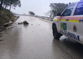 Estepona, único ayuntamiento español integrado en un proyecto europeo que diseña estrategias frente a peligros naturales o ciberataques