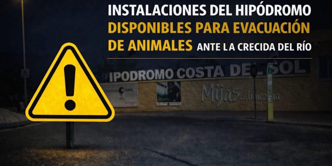 Mijas habilita el Hipódromo para acoger de manera temporal a los perros de las protectoras