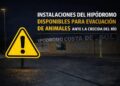 Mijas pone el Hipódromo a disposición de municipios vecinos para la acogida de caballos y otros animales ante el temporal