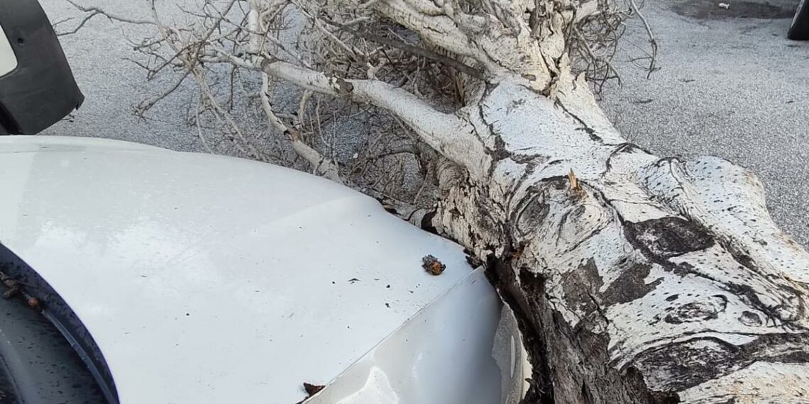 El fuerte viento causa daños urbanos y en el litoral de Torremolinos