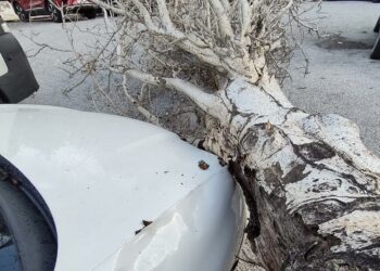 El fuerte viento causa daños urbanos y en el litoral de Torremolinos