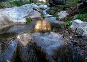Buscan a una mujer desaparecida en Sayalonga tras caer a un río mientras intentaba salvar a su perro