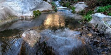 Buscan a una mujer desaparecida en Sayalonga tras caer a un río mientras intentaba salvar a su perro