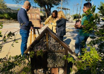 El Ayuntamiento impulsa el Plan de Mejora de la Biodiversidad Urbana para hacer de Fuengirola una ciudad más sostenible y saludable