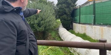 Mijas supervisa el estado de los colegios para evitar incidencias a causa del temporal