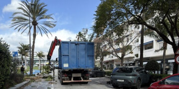 Marbella refuerza la seguridad y la conservación del arbolado en la avenida del Mediterráneo