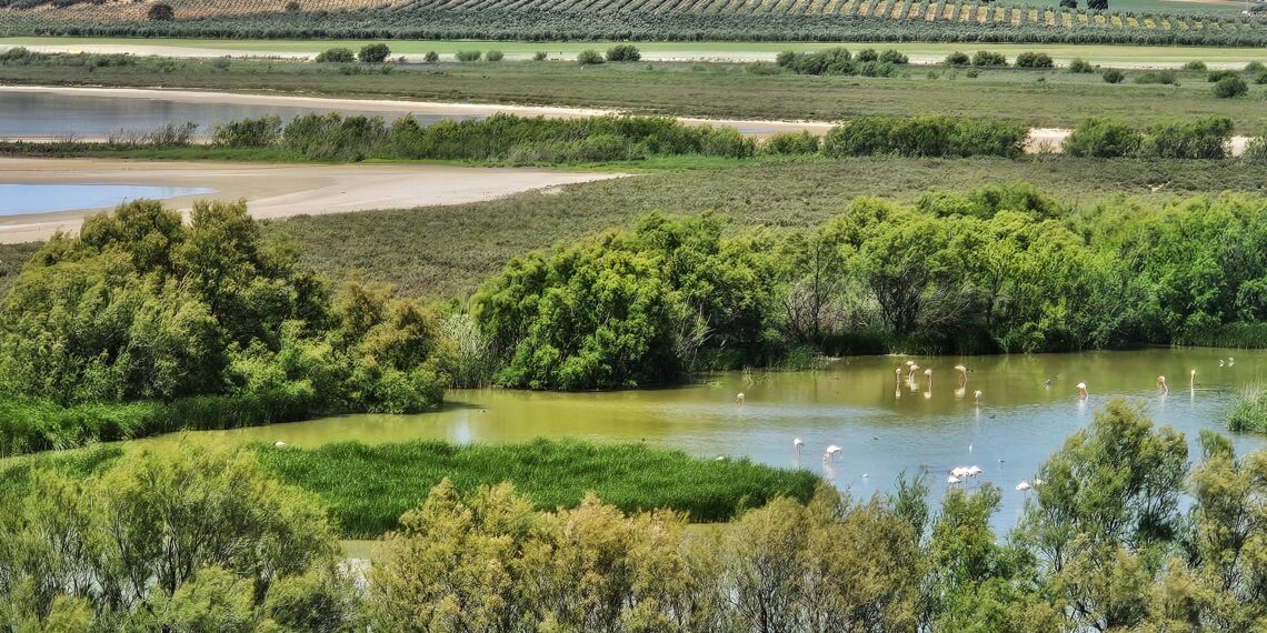 La Junta avanza en la tramitación de una nueva línea de ayudas para la investigación aplicada en espacios naturales de Andalucía