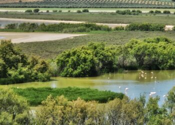 La Junta avanza en la tramitación de una nueva línea de ayudas para la investigación aplicada en espacios naturales de Andalucía