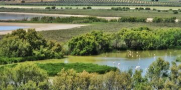 La Junta avanza en la tramitación de una nueva línea de ayudas para la investigación aplicada en espacios naturales de Andalucía
