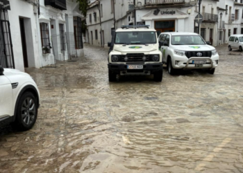 Breve respiro en Andalucía: «La situación ha mejorado, pero en ningún caso ha terminado»