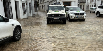 Breve respiro en Andalucía: «La situación ha mejorado, pero en ningún caso ha terminado»
