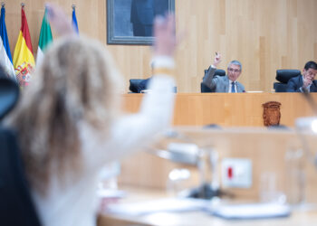 Diputación pedirá al Gobierno que acelere las obras del AVE y elabore un plan para garantizar el mantenimiento de las infraestructuras ferroviarias