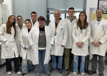 Andalucía impulsa un nanosensor sostenible que detecta biomarcadores clave en el Alzhéimer o el Parkinson