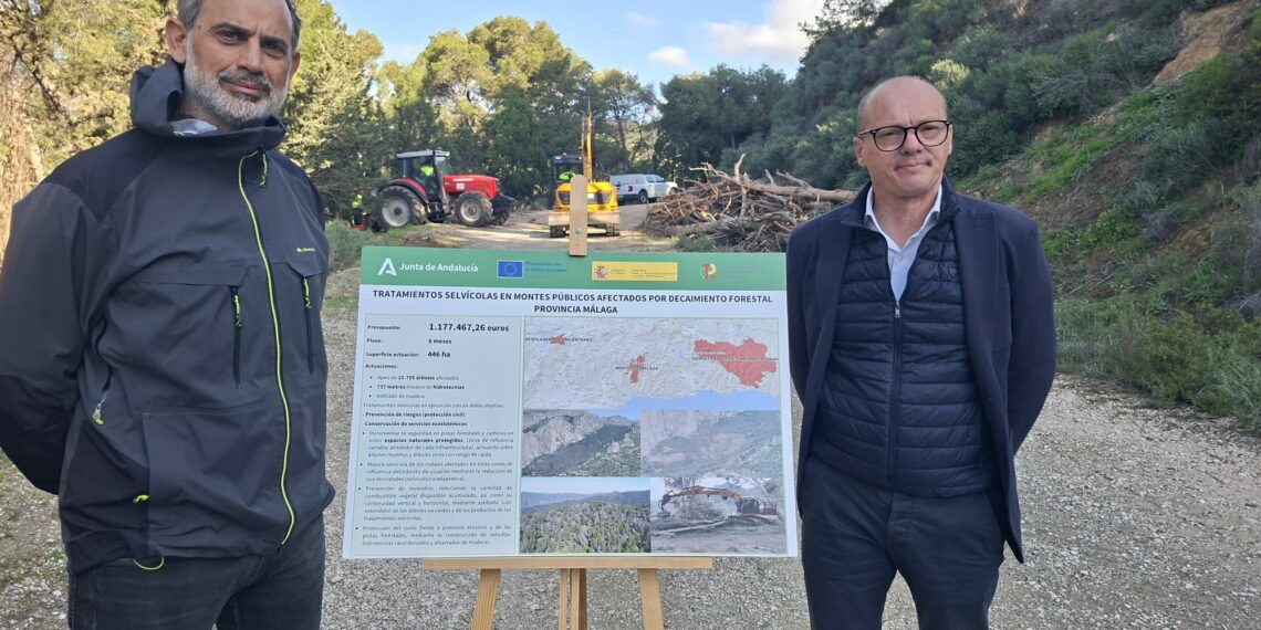 La Junta destina 1,1 millones a la mejora de los montes públicos de Málaga afectados por el decaimiento forestal