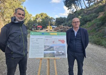 La Junta destina 1,1 millones a la mejora de los montes públicos de Málaga afectados por el decaimiento forestal
