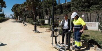 Borrador automático