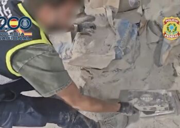 Desarticulada una organización criminal vinculada a la mocromafia por introducir 1.500 kilos de cocaína ocultos en sacos de cemento