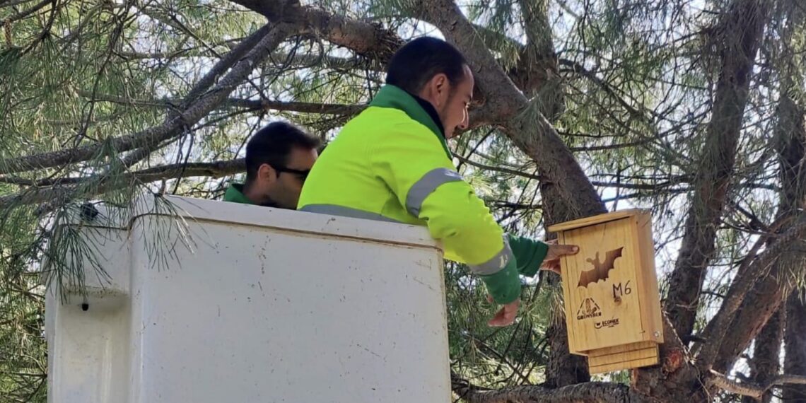 El Ayuntamiento de Estepona informa de la instalación de cajas nido para pequeñas aves rapaces y murciélagos en dos parques públicos