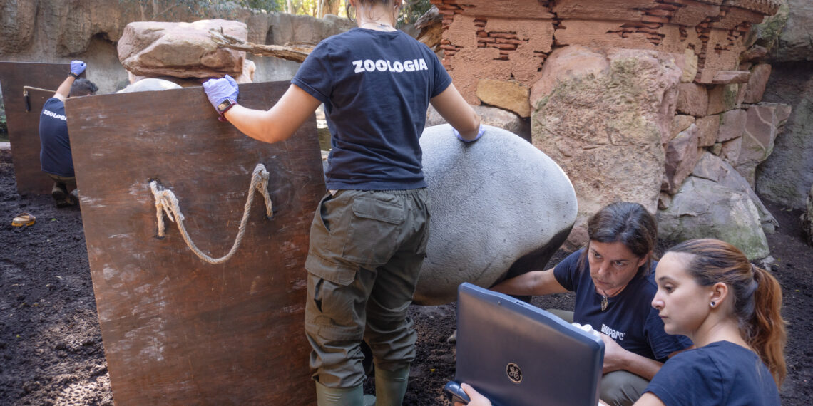 Veterinarias, investigadoras y cuidadoras: las mujeres que impulsan la conservación en los BIOPARC