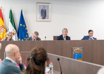 Estepona aprueba en pleno ofrecer al Gobierno central parcelas municipales donde puede construir más de 100 VPO