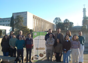 Un vendaje creado en Andalucía con paja y un hongo asiático acelera la cicatrización y combate infecciones