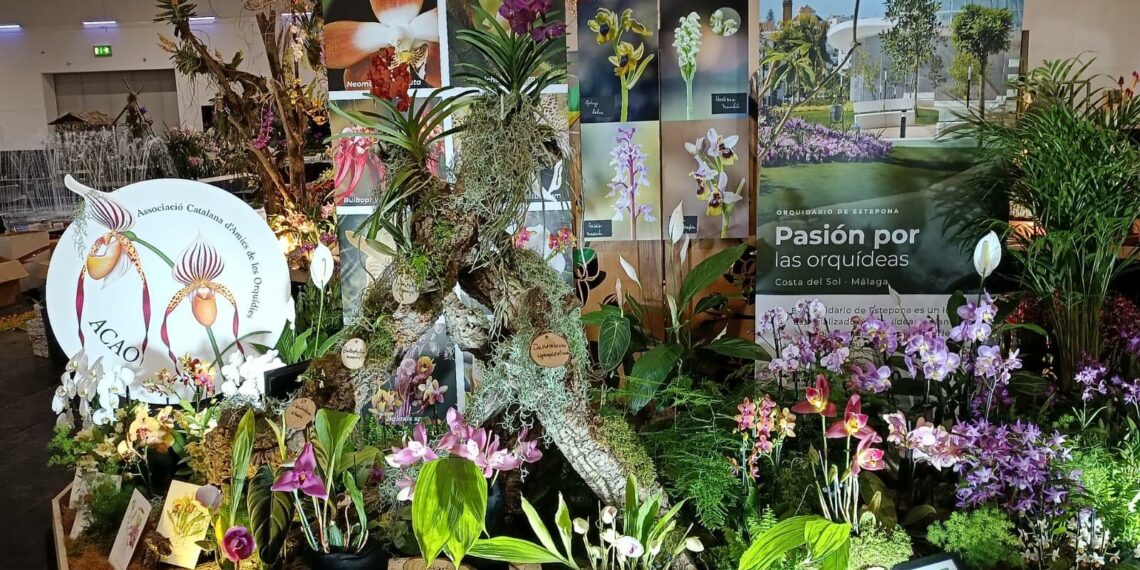 El Orquidario de Estepona recibe el segundo premio en la 24ª Conferencia Mundial de Orquídeas