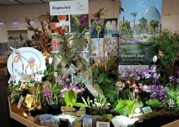 El Orquidario de Estepona recibe el segundo premio en la 24ª Conferencia Mundial de Orquídeas