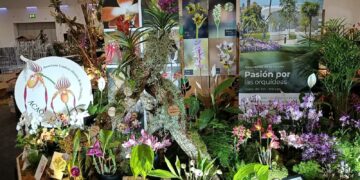 El Orquidario de Estepona recibe el segundo premio en la 24ª Conferencia Mundial de Orquídeas