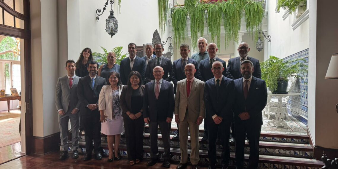 El Puerto de Málaga impulsa su conectividad internacional en una acción comercial con empresas de Perú y Chile