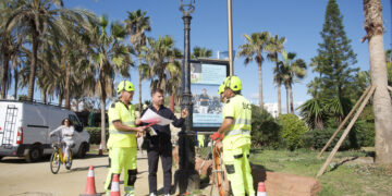Mejora integral de las instalaciones eléctricas y del alumbrado del Paseo Marítimo entre Río Real y Río Verde