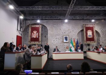 El Pleno aprueba la cesión a la Policía Nacional de un local municipal en el centro de San Pedro Alcántara