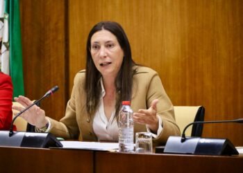 Andalucía destina 268,8 millones a la protección de la infancia y adolescencia en 2026, un 75% más que en 2018