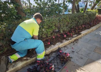 El Ayuntamiento impulsa una nueva campaña floral con más de 400.000 plantas para realzar la imagen de la ciudad
