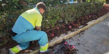 El Ayuntamiento impulsa una nueva campaña floral con más de 400.000 plantas para realzar la imagen de la ciudad