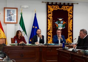Mijas aprueba la ordenanza que permitirá la recepción de las urbanizaciones históricas de la localidad