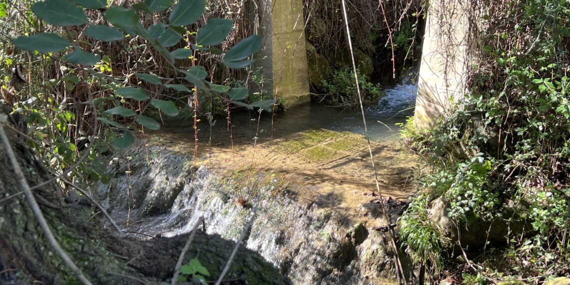 Hidralia impulsa la resiliencia hídrica en Málaga a través de la innovación