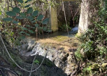 Hidralia impulsa la resiliencia hídrica en Málaga a través de la innovación