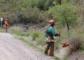 Mijas desarrolla labores de tratamientos silvícolas, desbroces, podas y claras en la Sierra para prevenir incendios