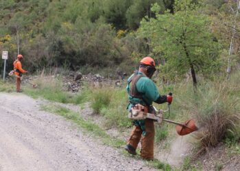Mijas desarrolla labores de tratamientos silvícolas, desbroces, podas y claras en la Sierra para prevenir incendios