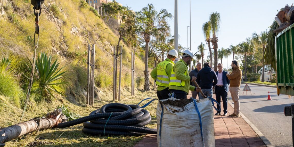 Benalmádena pone en marcha su segundo Plan de Arbolado con la plantación de casi 600 árboles