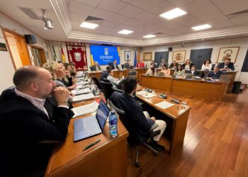 Benalmádena aprueba definitivamente el Reglamento Orgánico Municipal