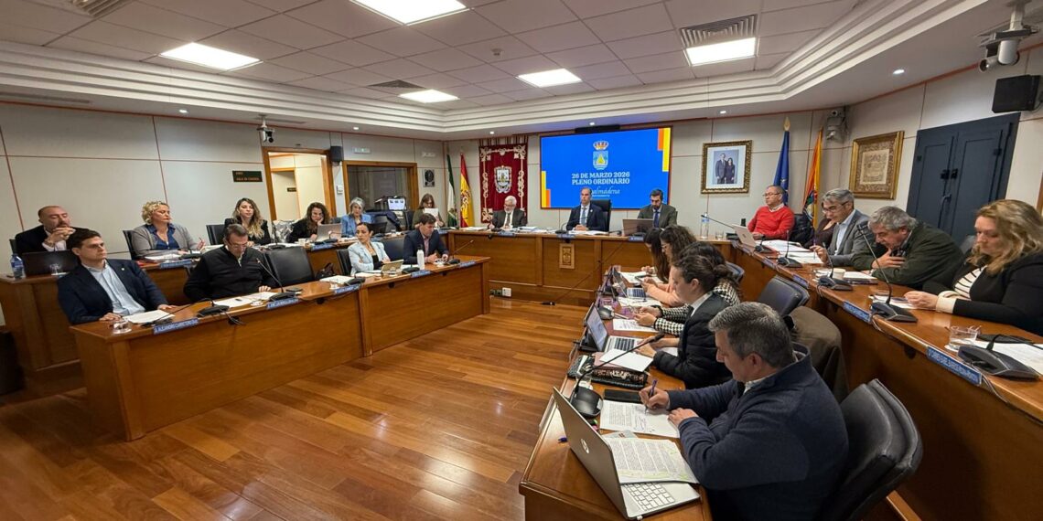 El pleno de Benalmádena acuerda solicitar al Gobierno celeridad en las obras del AVE y un plan para garantizar el mantenimiento de las infraestructuras ferroviarias
