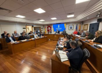 El pleno de Benalmádena acuerda solicitar al Gobierno celeridad en las obras del AVE y un plan para garantizar el mantenimiento de las infraestructuras ferroviarias