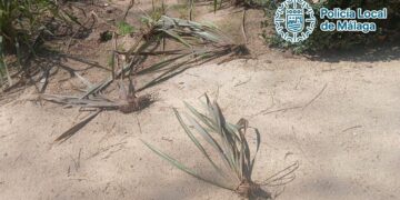 Detenido por provocar daños en plantas y mobiliario de los jardines del Paseo del Parque