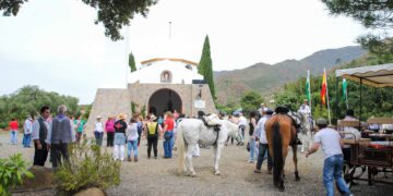 El Ayuntamiento realiza labores de adecentamiento del Parque de Los Pedregales con motivo de la romería de San Isidro Labrador