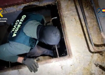 Más de 3.500 kilos de droga incautados y 17 detenidos en una operación con ramificaciones en Málaga